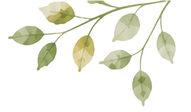 blaetter transparent neu